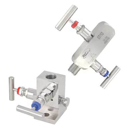 2-Valve Block Manifold, 316 SS, for Oil/Water/Chemicals, Direct Mount